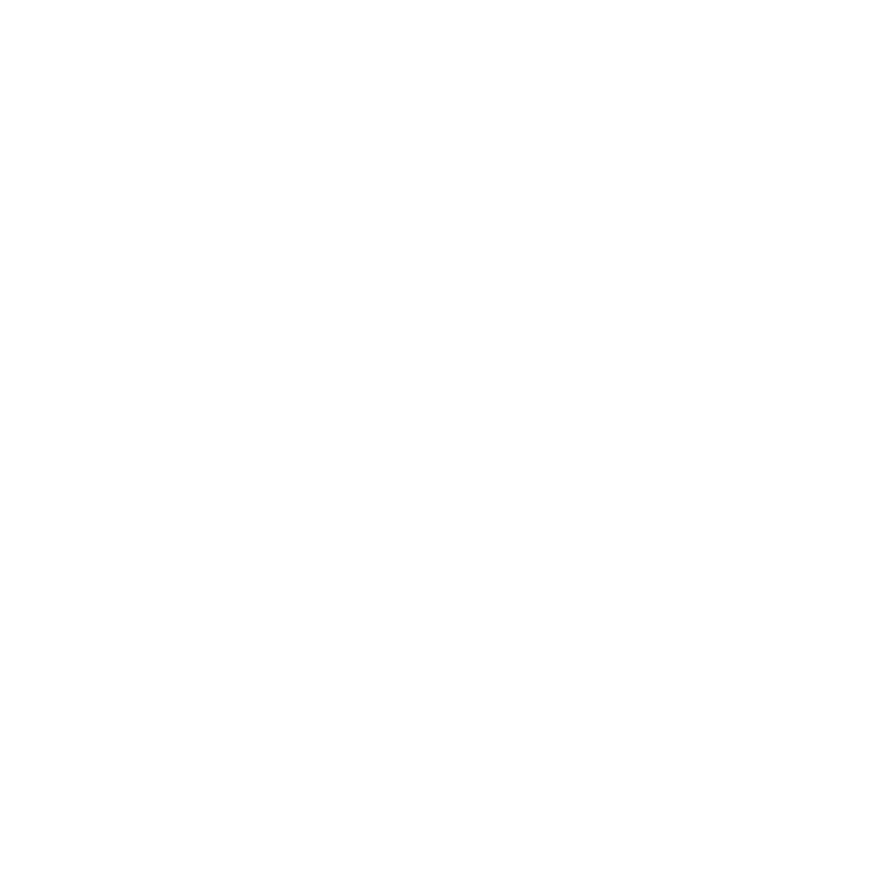  Stemma FVG PLUS S.p.A.